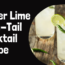 Ginger Lime Long Tail Cocktail Recipe