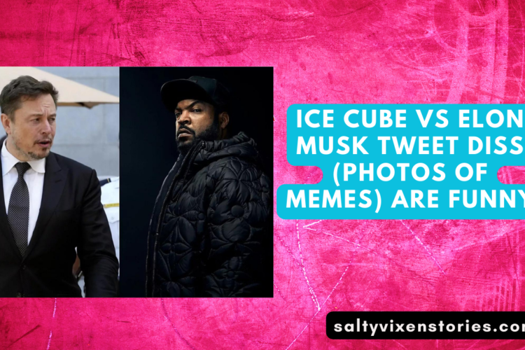 Ice Cube Vs Elon Musk Tweet Diss photos of memes are Funny