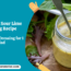 Sweet and Sour Lime Dressing Recipe