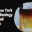 The New York Sour Mixology Cocktail Recipe