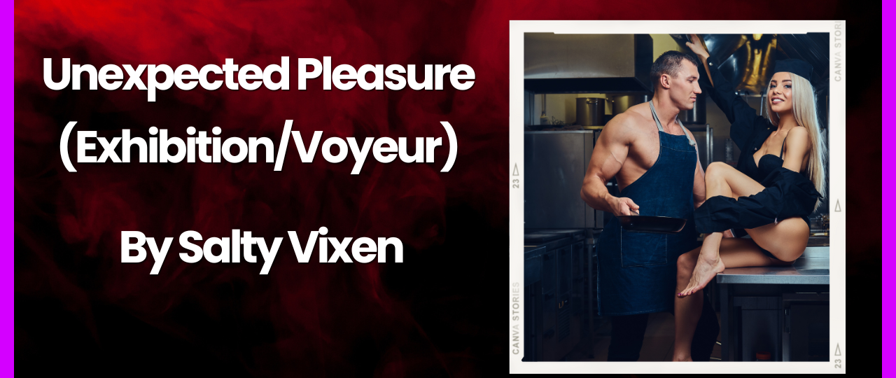 Unexpected Pleasure ExhibitionVoyeur