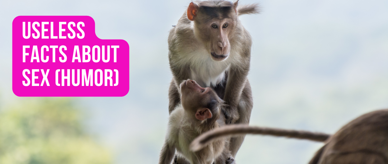 Useless Facts about Sex Humor