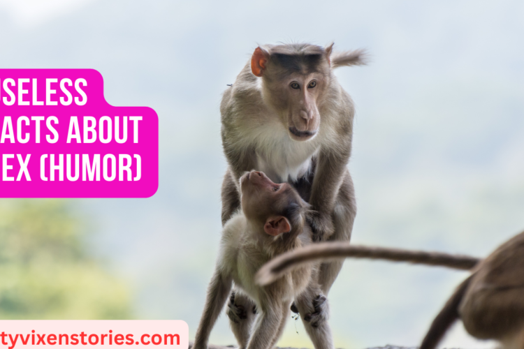 Useless Facts about Sex Humor