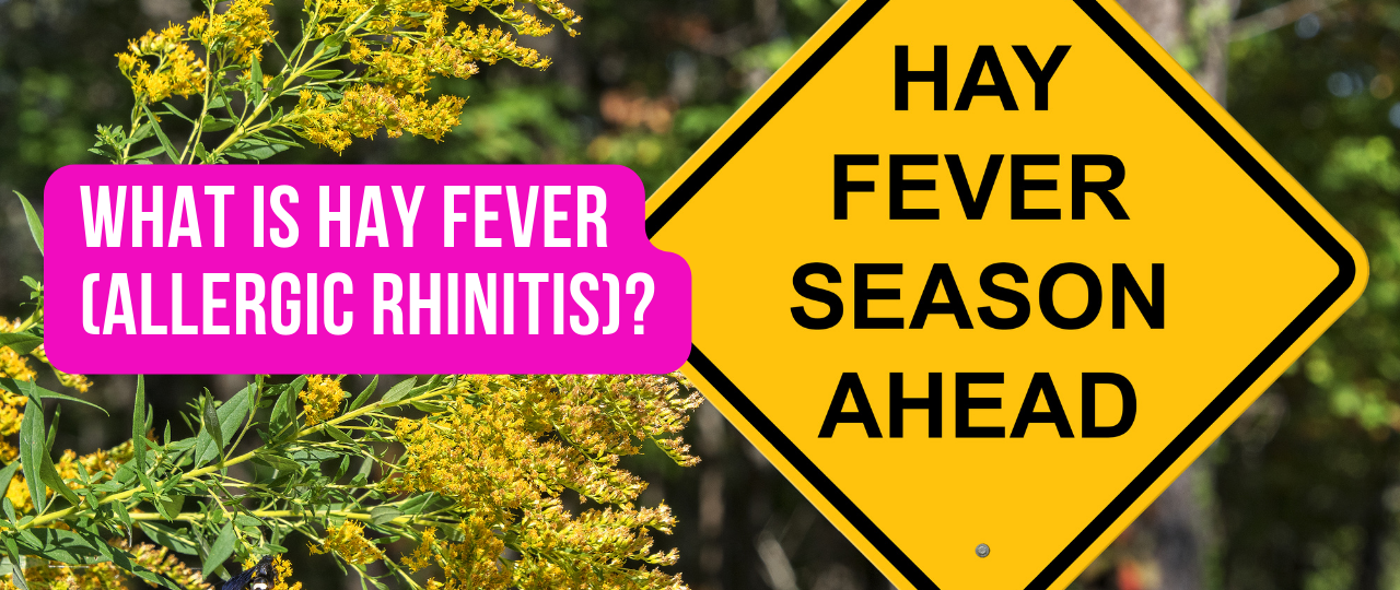 What is Hay Fever Allergic Rhinitis 1