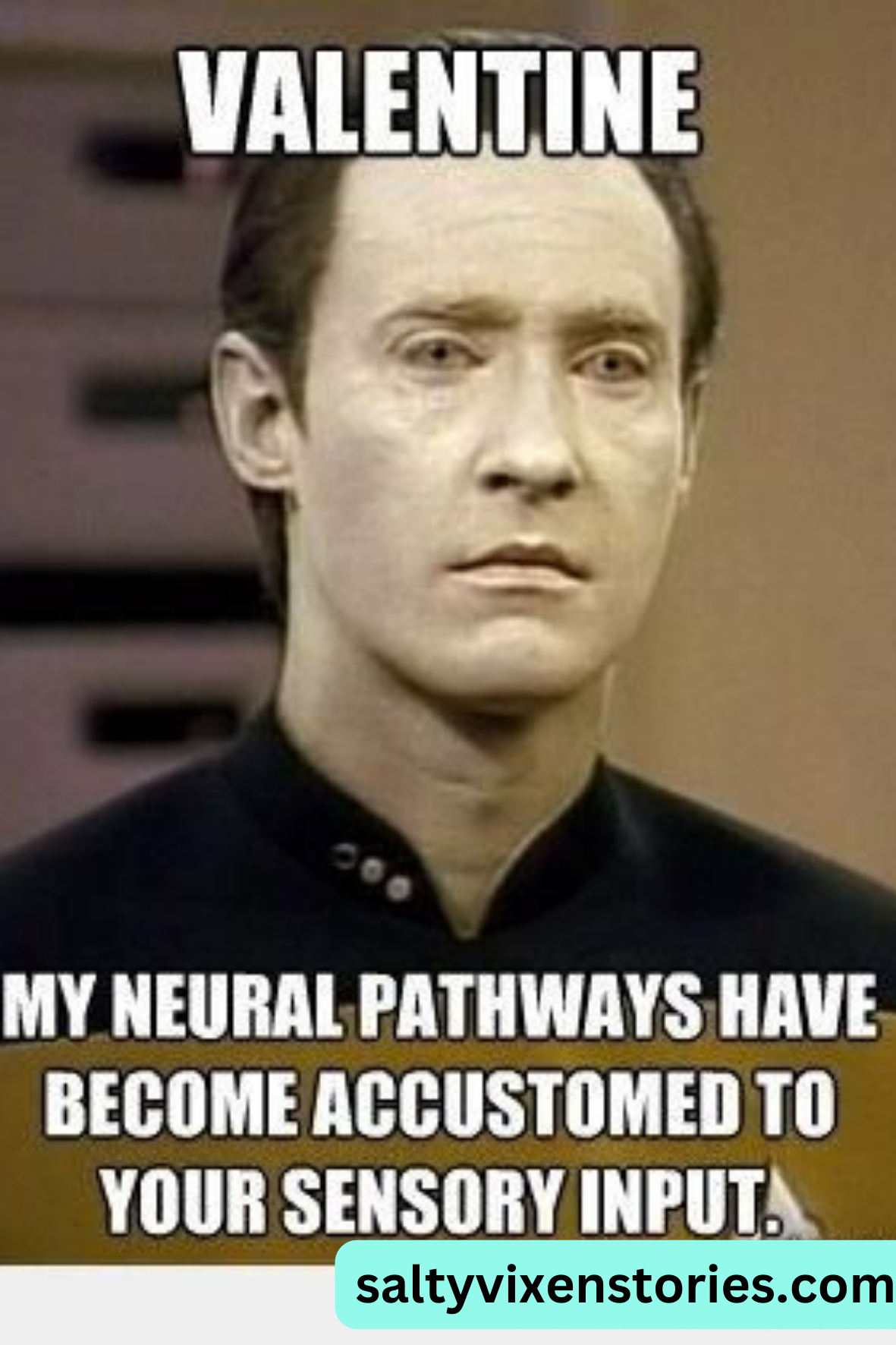 data star trek TNG Love meme