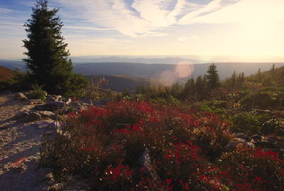 kancamagus scenic way new hampshire