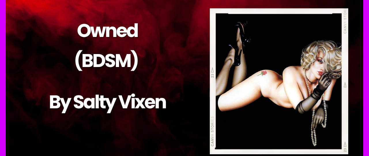 owned a BDSM story by Salty Vixen