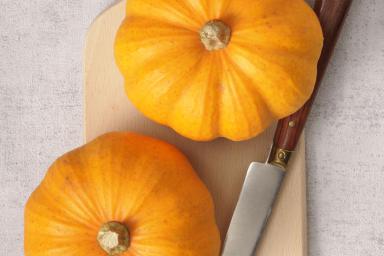 pumpkin information yum