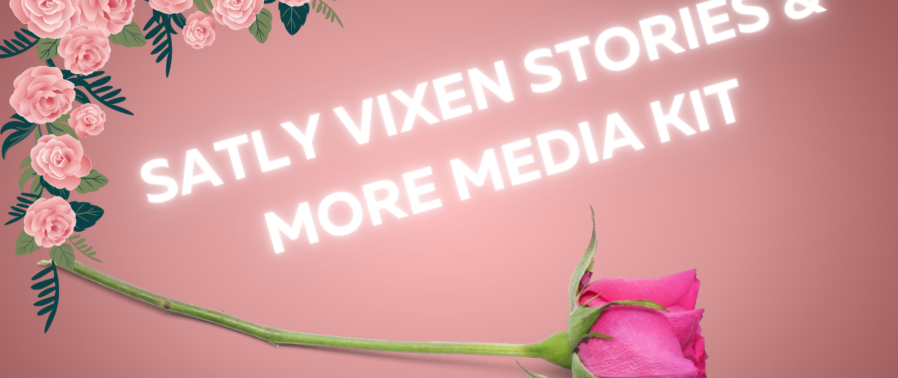 salty vixen stories and more media kit