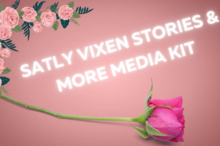 salty vixen stories and more media kit
