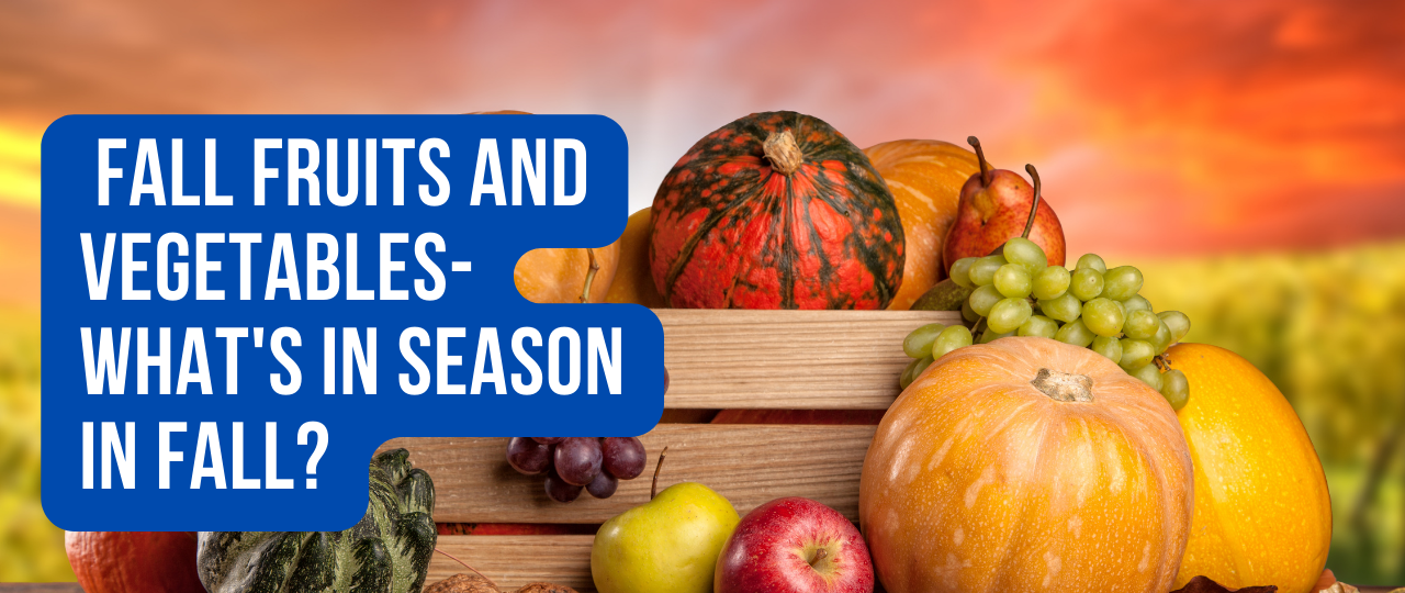 Fall Fruits and Vegetables Whats in Season in Fall