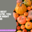 For the Best Pumpkin Pie You Need the Right Pumpkins