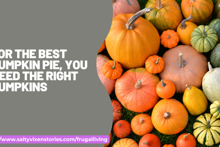 For the Best Pumpkin Pie You Need the Right Pumpkins