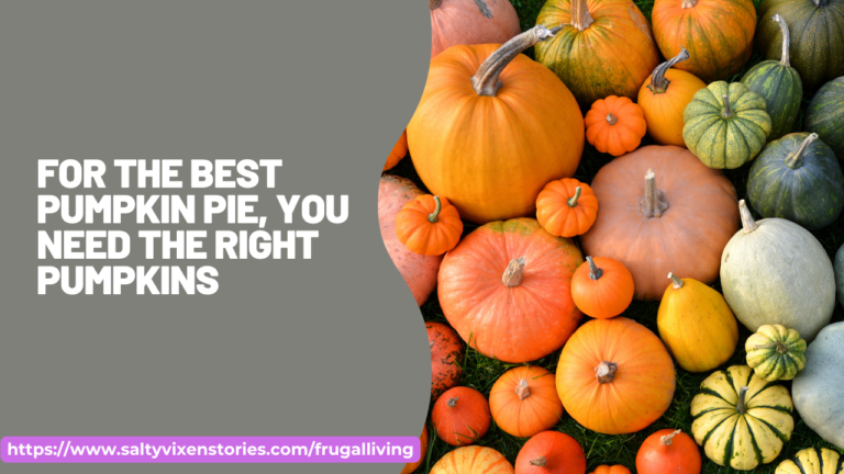 For the Best Pumpkin Pie, You Need the Right Pumpkins