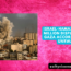 Israel Hamas war 1 million displaced in Gaza According to UNRWA