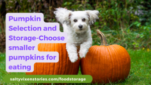 Pumpkin Selection and Storage-Choose smaller pumpkins for eating