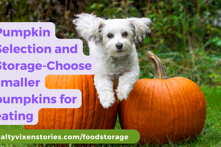 Pumpkin Selection and Storage Choose smaller pumpkins for eating