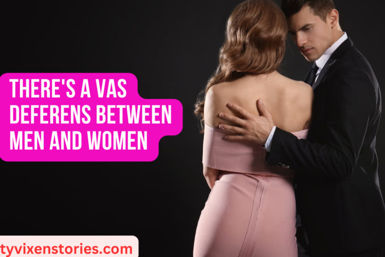 Theres a Vas Deferens Between Men and Women