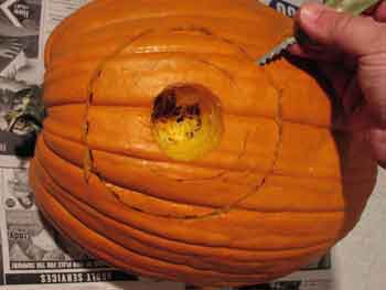 pumpkin dildo 2