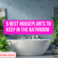 5 Best Houseplants to Keep in the Bathroom