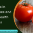 Calories in Tomatoes and Their Health Benefits