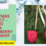 DIY Christmas Project How to Make A Strawberry Ornament