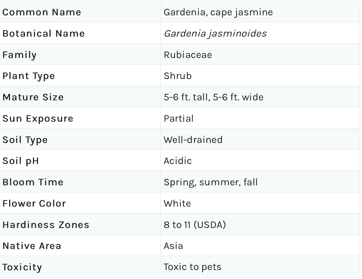 Gardenia facts