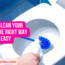 How to Clean your Toilet the Right Way and it is easy