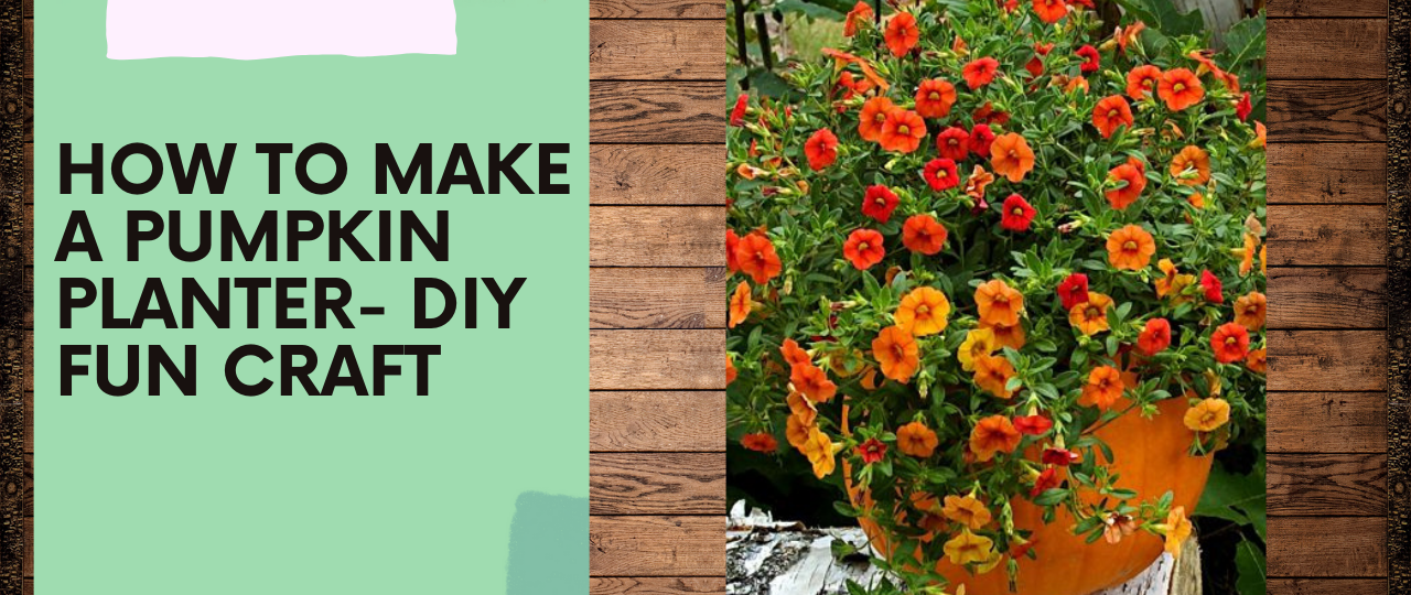 How to Make a Pumpkin Planter DIY Fun Craft