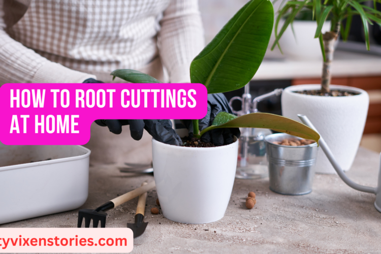 How to Root Cuttings at Home