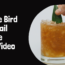 Jungle Bird Cocktail Recipe with Video