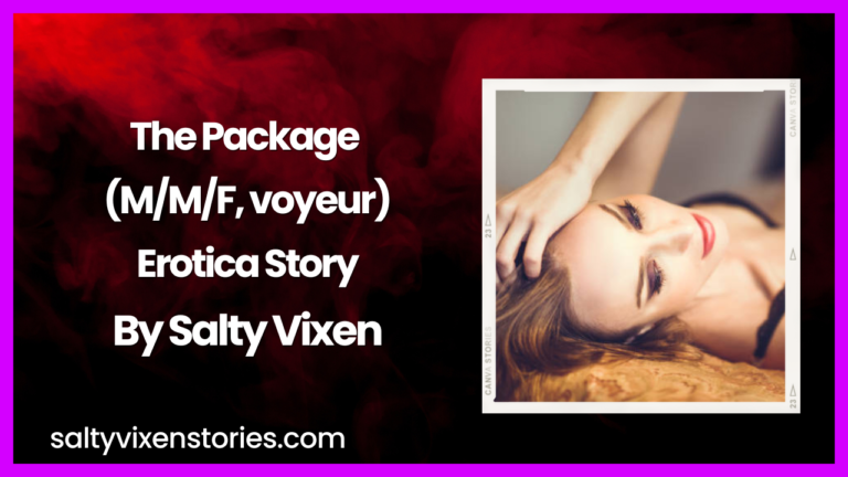 The Package (M/M/F, voyeur)Erotica Story by Salty Vixen