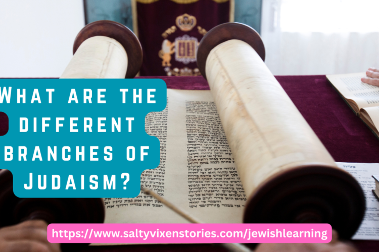 What are the different branches of Judaism