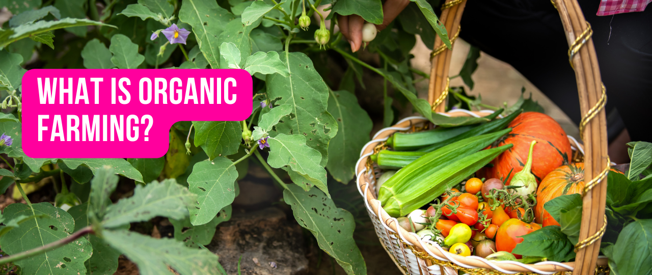 What is Organic Farming