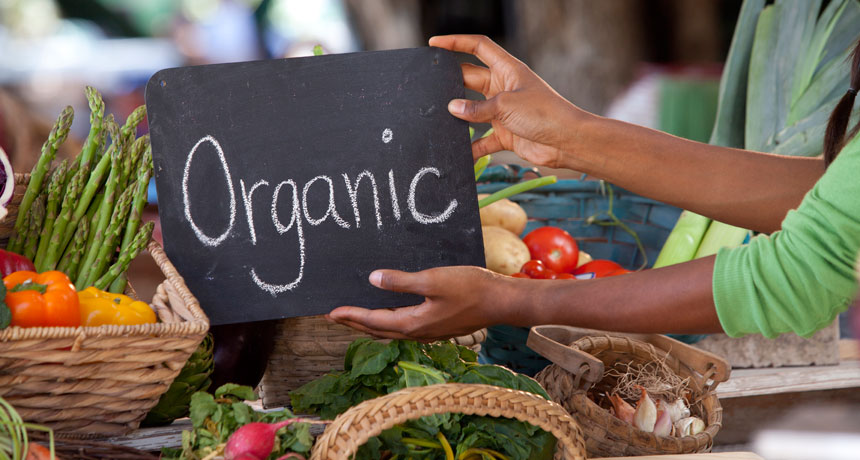 organic food