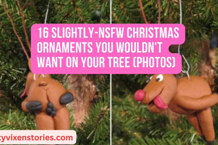 16 Slightly NSFW Christmas Ornaments You Wouldnt Want On Your Tree photos