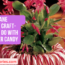 Candy Cane Planter Craft What to do with left over candy canes