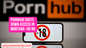 Pornhub Shuts Down Access In Montana -oh no