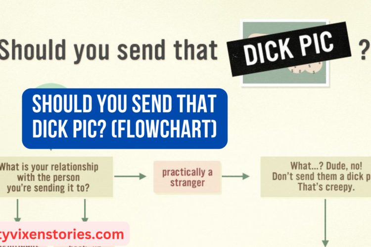 Should You Send That Dick Pic flowchart by salty vixen