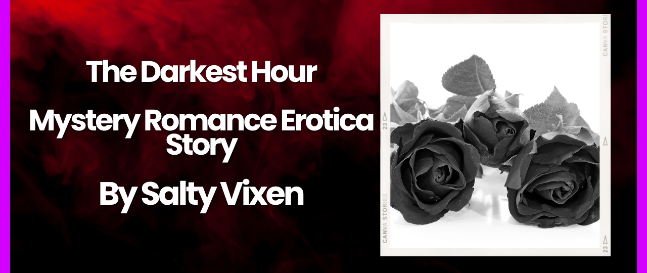 The Darkest Hour Mystery Romance Erotica Story by Salty Vixen