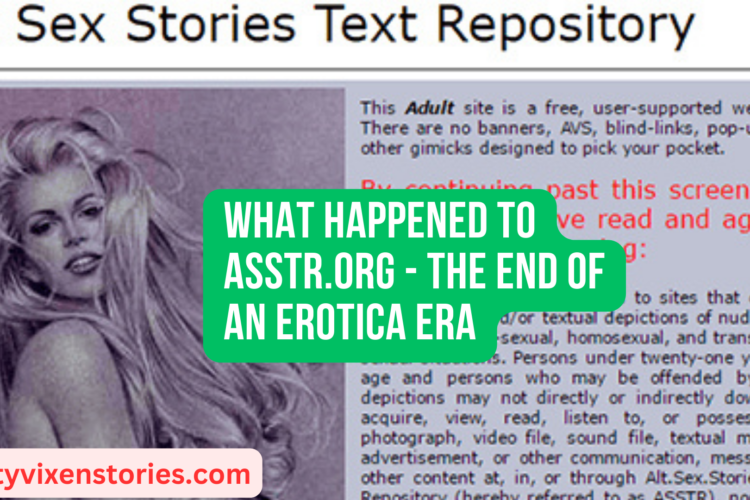What Happened to ASSTR.ORG The end of an Erotica Era