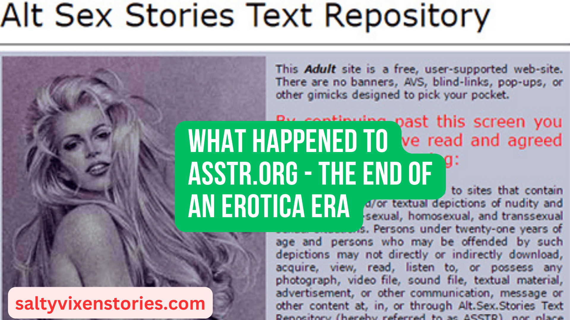 What Happened to ASSTR.ORG - The end of an Erotica Era ~ Salty Vixen  Stories & More