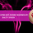 Woman Having Sex Audio Sounds By Salty Vixen