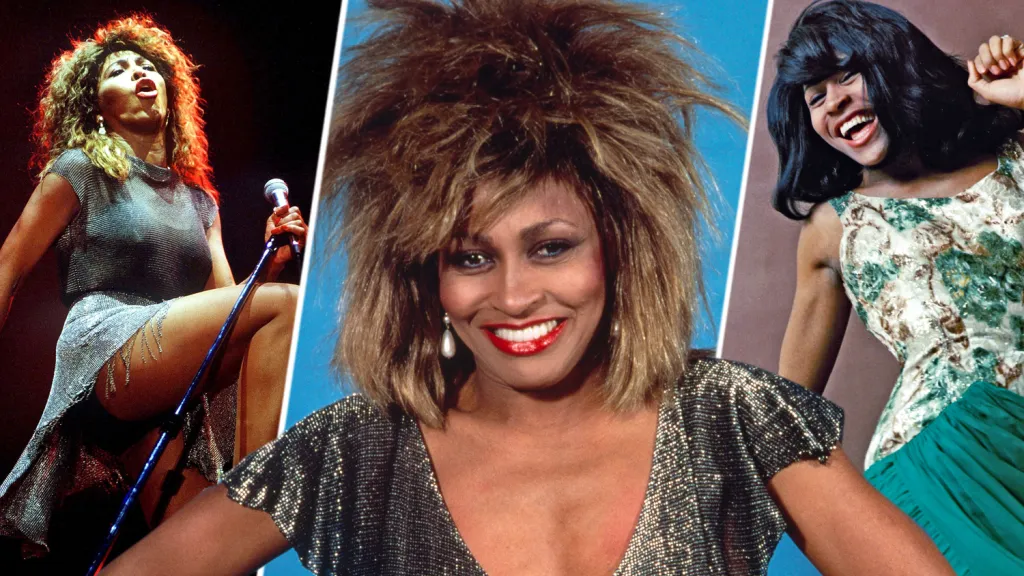 tina turner 2