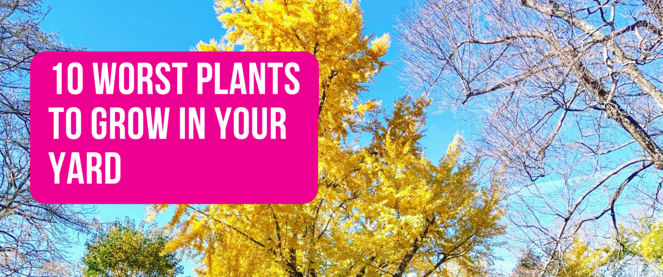 10 Worst Plants to Grow in Your Yard
