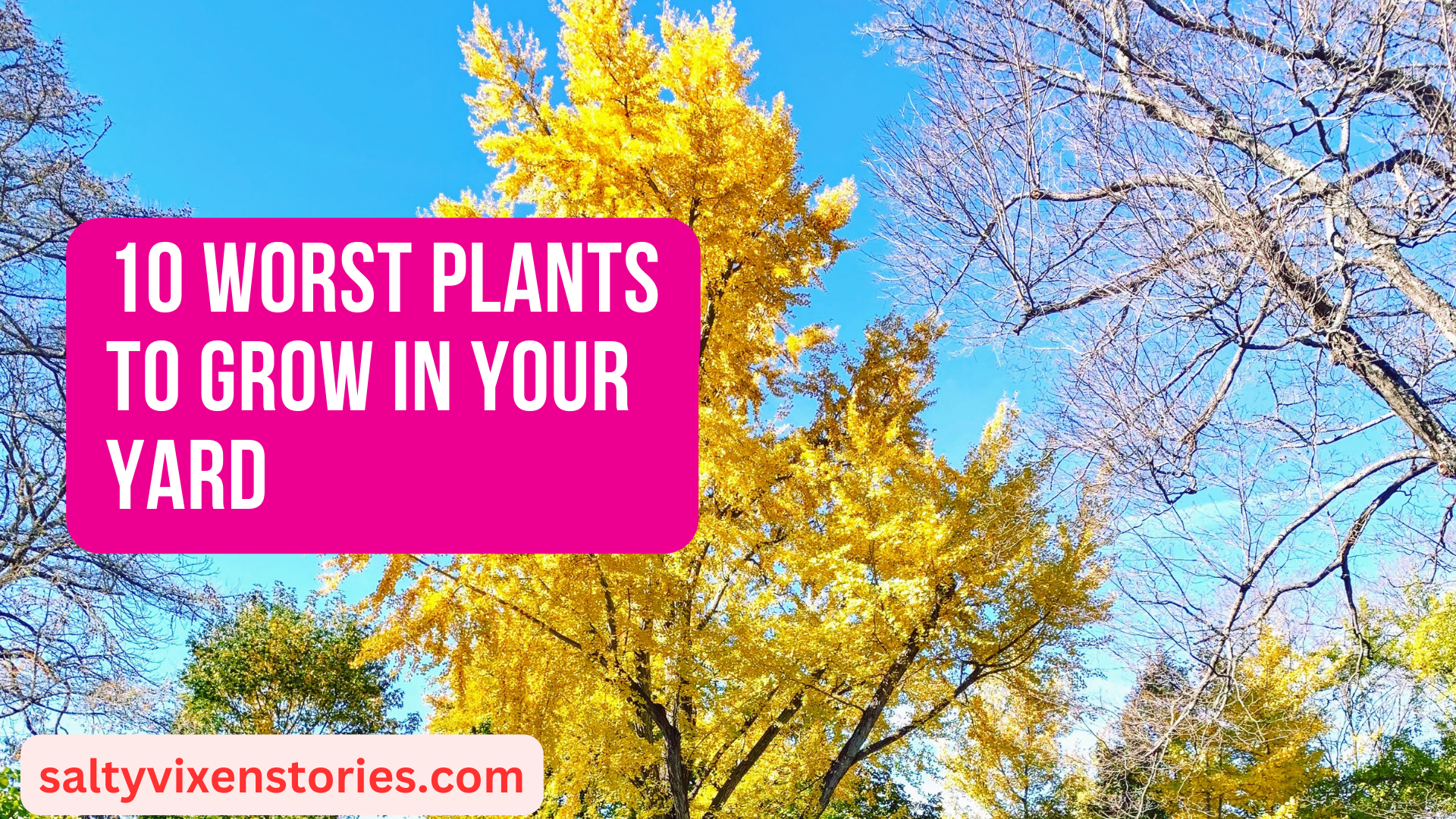 10 Worst Plants to Grow in Your Yard - Salty Vixen Lifestyle Magazine