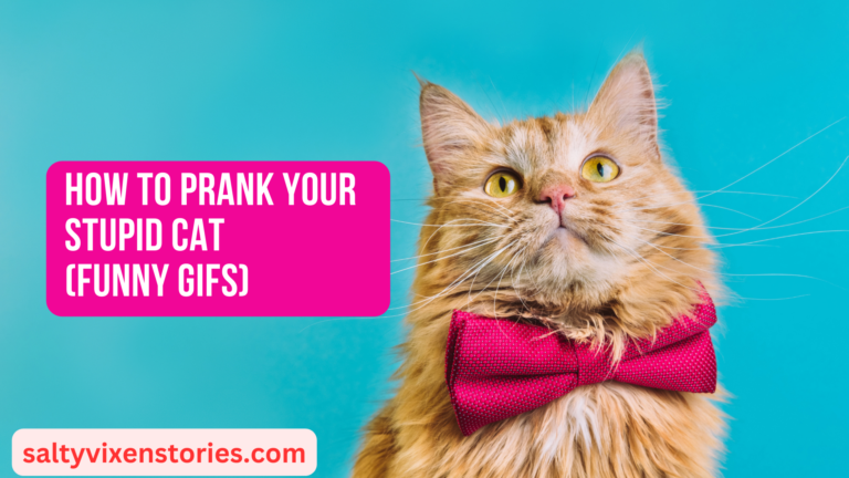 How to Prank Your Stupid Cat (Funny Gifs)
