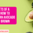 Secrets of a Chef How to Stop an Avocado Going Brown