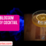 The Gin Blossom Mixology Cocktail Recipe