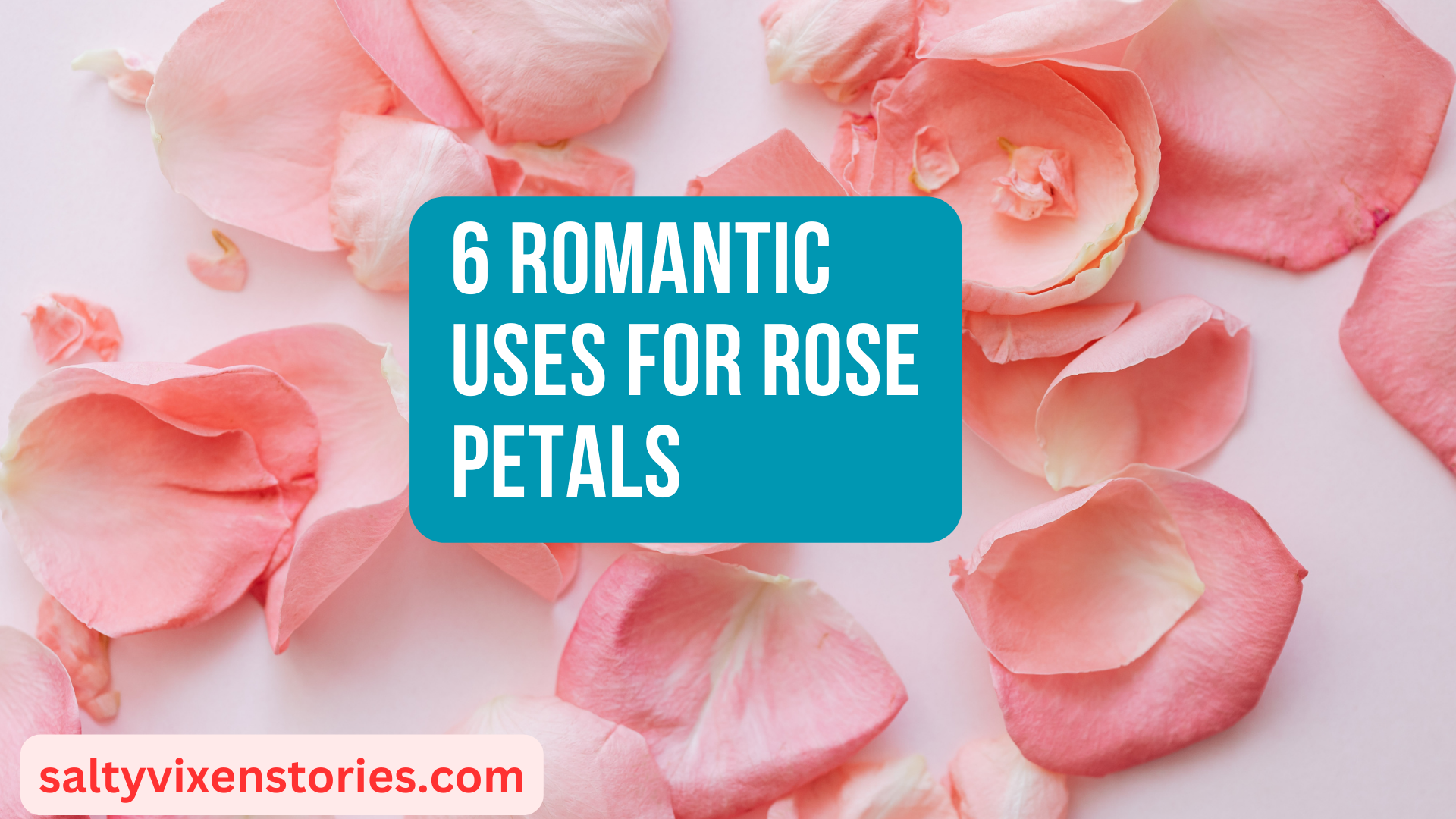 6 Romantic Uses for Rose Petals - Salty Vixen Lifestyle Magazine